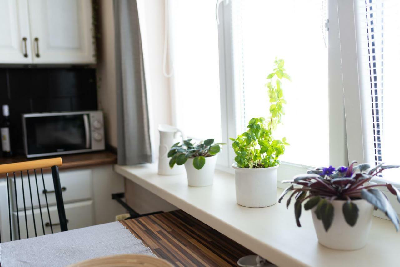 Old Town Vintage Apartment Sturova Košice Buitenkant foto